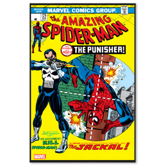 Punisher v. Spidey